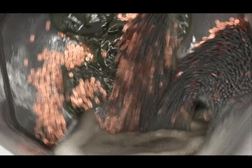 MOV_BALEL.gif